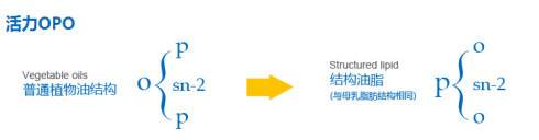 為什麽要給寶寶喝含有OPO配方羊奶粉？